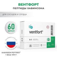 Вентфорт 60